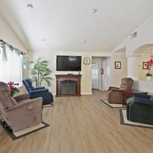 Britta Care Manor - 3 - living room.jpg