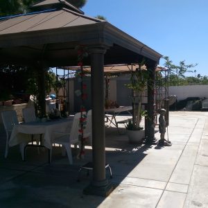 Pine Tree Home 2 - patio.jpg