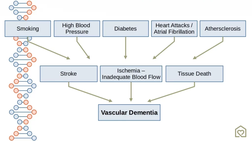 Chart of several health conditions that can lead to Vascular Dementia