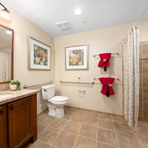 Pacifica Senior Living - Oceanside - 6 - apartment bathroom.JPG