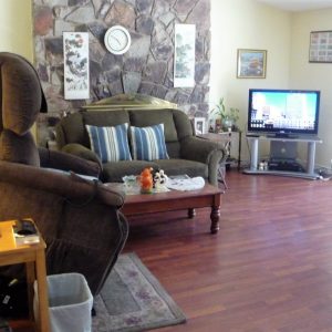 Anshin Home Care 3 - living room.jpg