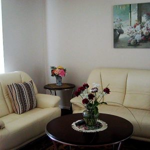 Carlsbad Elder Care living room 2.jpg