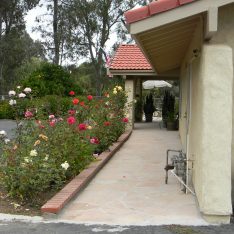 Citrus Garden Residential Care 1 - front walkway.jpg