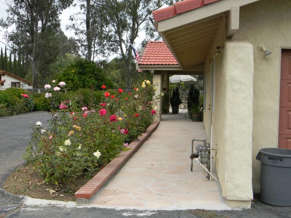 Citrus Garden Residential Care 1 - front walkway.jpg