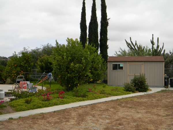 Citrus Garden Residential Care yard.jpg
