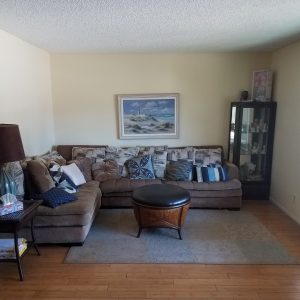 Family Care - Pepita Home 3 - living room.jpg