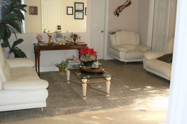 Infinity Home Care 3 - living room.JPG