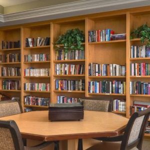 Ivy Park at Mission Viejo 4 - library.JPG