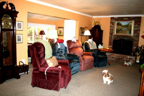 Lucie's Cozy Cottage 3 - living room.jpg