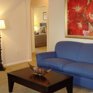 Oakmont of Escondido Hills apartment living room.JPG
