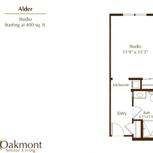 Oakmont of Orange floor plan studio Alder.JPG
