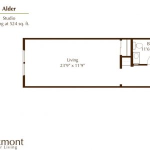 Oakmont of Pacific Beach floor plan studio Alder 2.JPG
