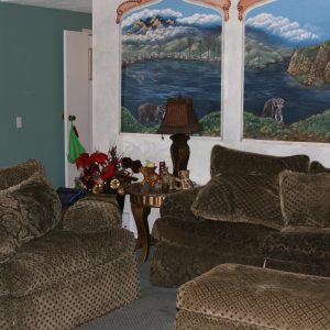 Saddleback FMJ I Elderly Care Home 3 - living room 2.JPG