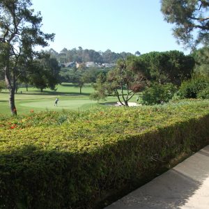 Arbor on the Green golf course view.jpg