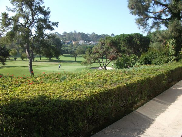 Arbor on the Green golf course view.jpg
