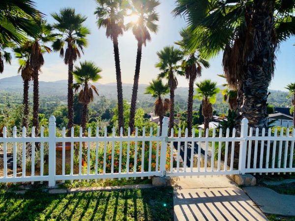 Bellahomecare II view.jpg