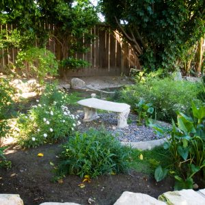 Irvine Cottage #2 3 - garden.jpg