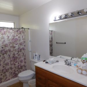 thrive-elder-care-bathroom.jpg