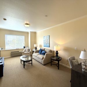 aegis-of-shadowridge-apartment-living-room.jpeg