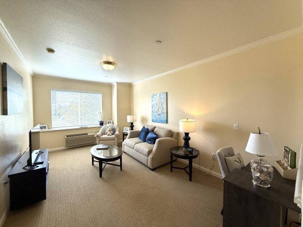 aegis-of-shadowridge-apartment-living-room.jpeg