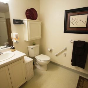 aegis-of-shadowridge-apartment-restroom.jpg