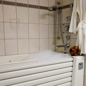 aegis-of-shadowridge-hydrotherapy-tub.jpg