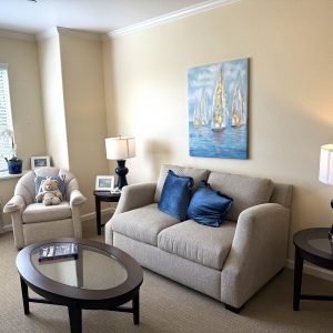 aegis-of-shadowridge-living-room.jpeg