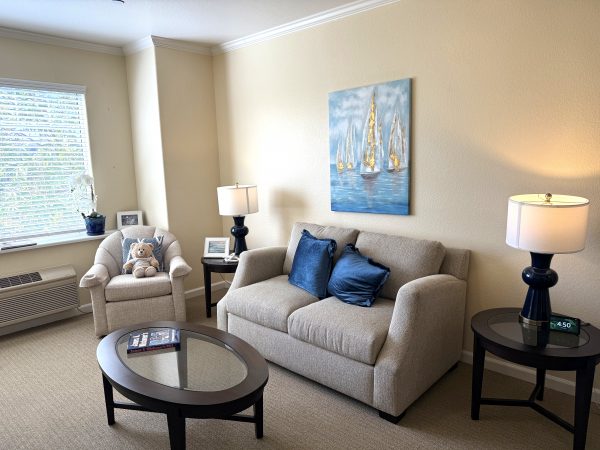 aegis-of-shadowridge-living-room.jpeg