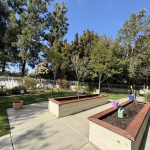 aegis-of-shadowridge-raised-garden-beds.jpeg