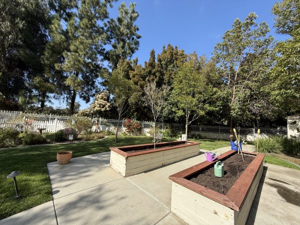 aegis-of-shadowridge-raised-garden-beds.jpeg