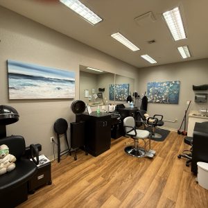 aegis-of-shadowridge-salon.jpeg