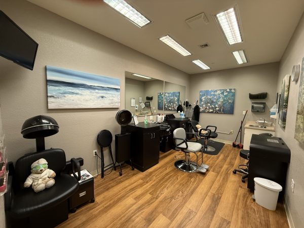 aegis-of-shadowridge-salon.jpeg