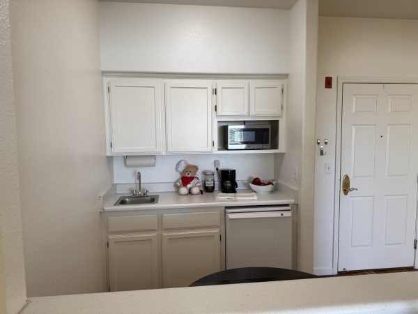 aegis-of-shadowridge-studio-kitchen.jpeg