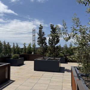 the-pavilion-at-tecolote-canyon-deck.jpeg