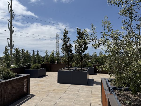 the-pavilion-at-tecolote-canyon-deck.jpeg