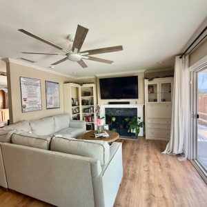 buena-vista-home-care-3---living-room.jpg