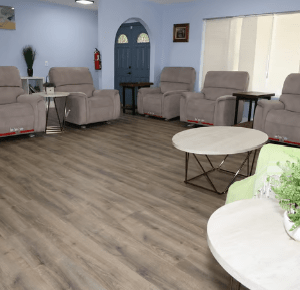 lucy-dinkie-home-care-llc-living-room.png