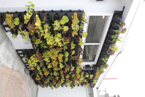 boutique-care-senior-living-10-plants.jpg