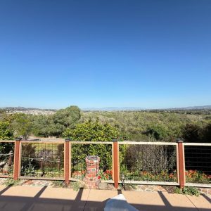 treegrove-senior-residence-12-outside-view.jpeg