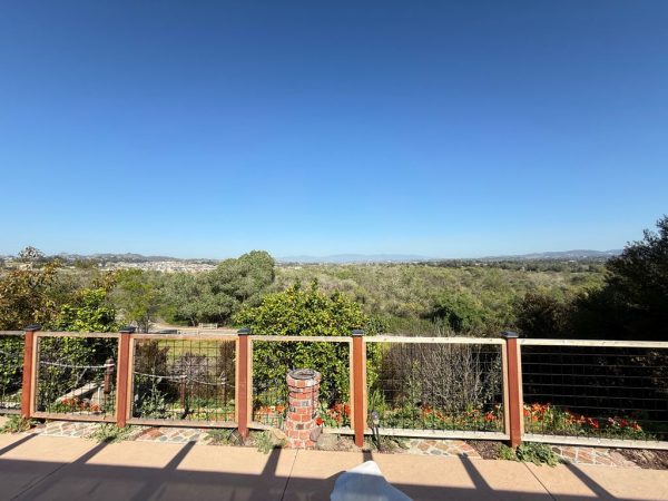 treegrove-senior-residence-12-outside-view.jpeg