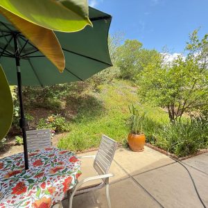 hillside-garden-i-10-backyard.jpeg