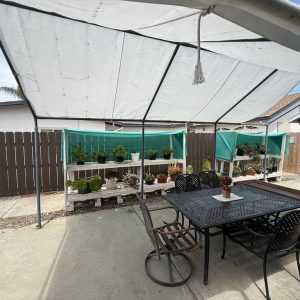 clairemont-guest-home-13-plants.jpeg