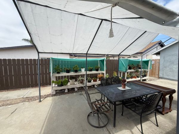 clairemont-guest-home-13-plants.jpeg