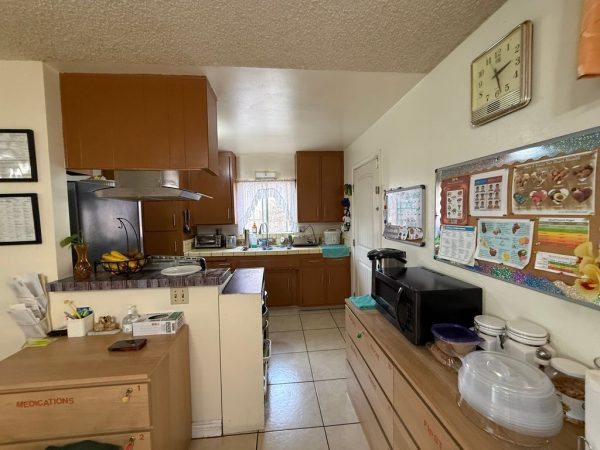 daleinas-home-care-5-kitchen.jpeg