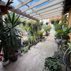 daleinas-home-care-9-outside-area.jpeg
