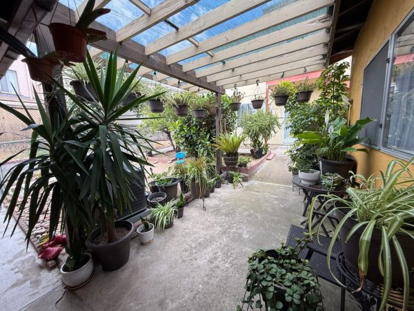 daleinas-home-care-9-outside-area.jpeg
