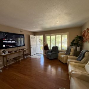 say-youre-home-too-3-living-room.jpeg