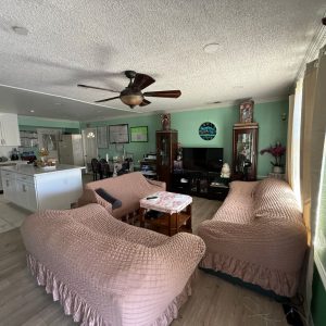ideal-home-care-3-living-room.jpeg